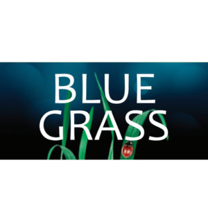 Odorizant Blue Grass Vision