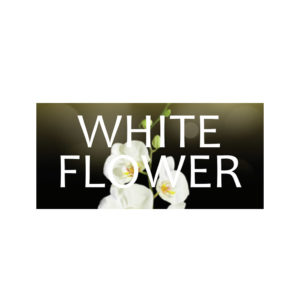 Odorizant White Flower Vision